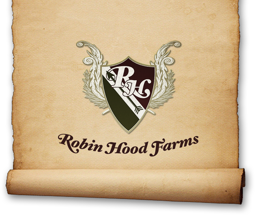 Homepage logo